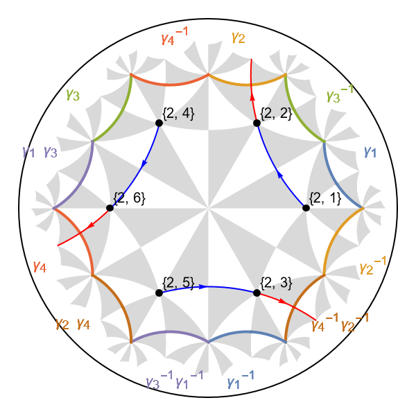 Vertices tessellation model {6,4}-lattice